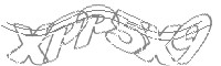 Check code